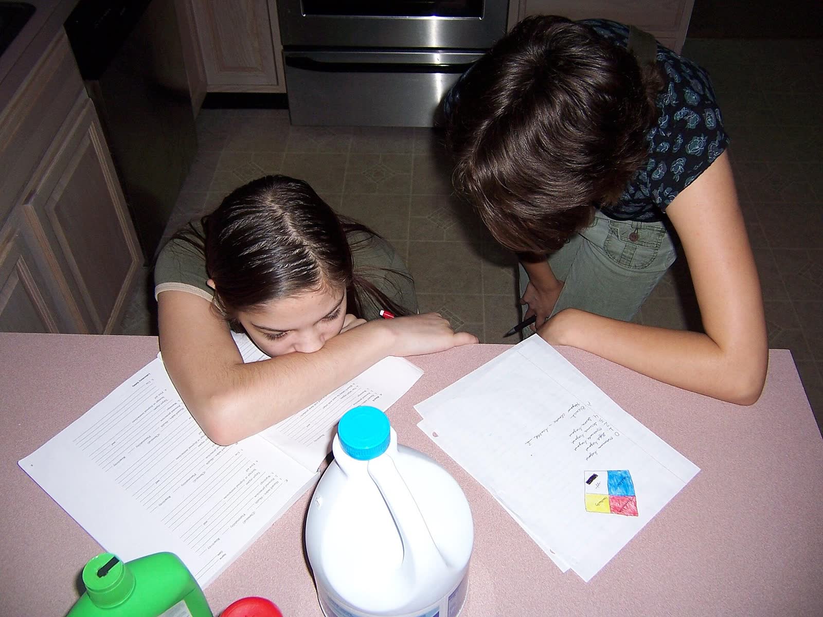 A homeschooled student at work on lessons. (File photo)