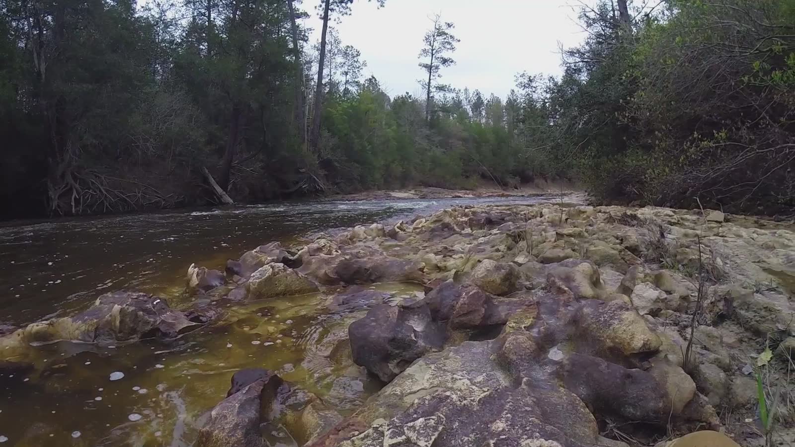 A creek on Poarch Band of Creek Indians land near Atmore, Ala. (File photo)